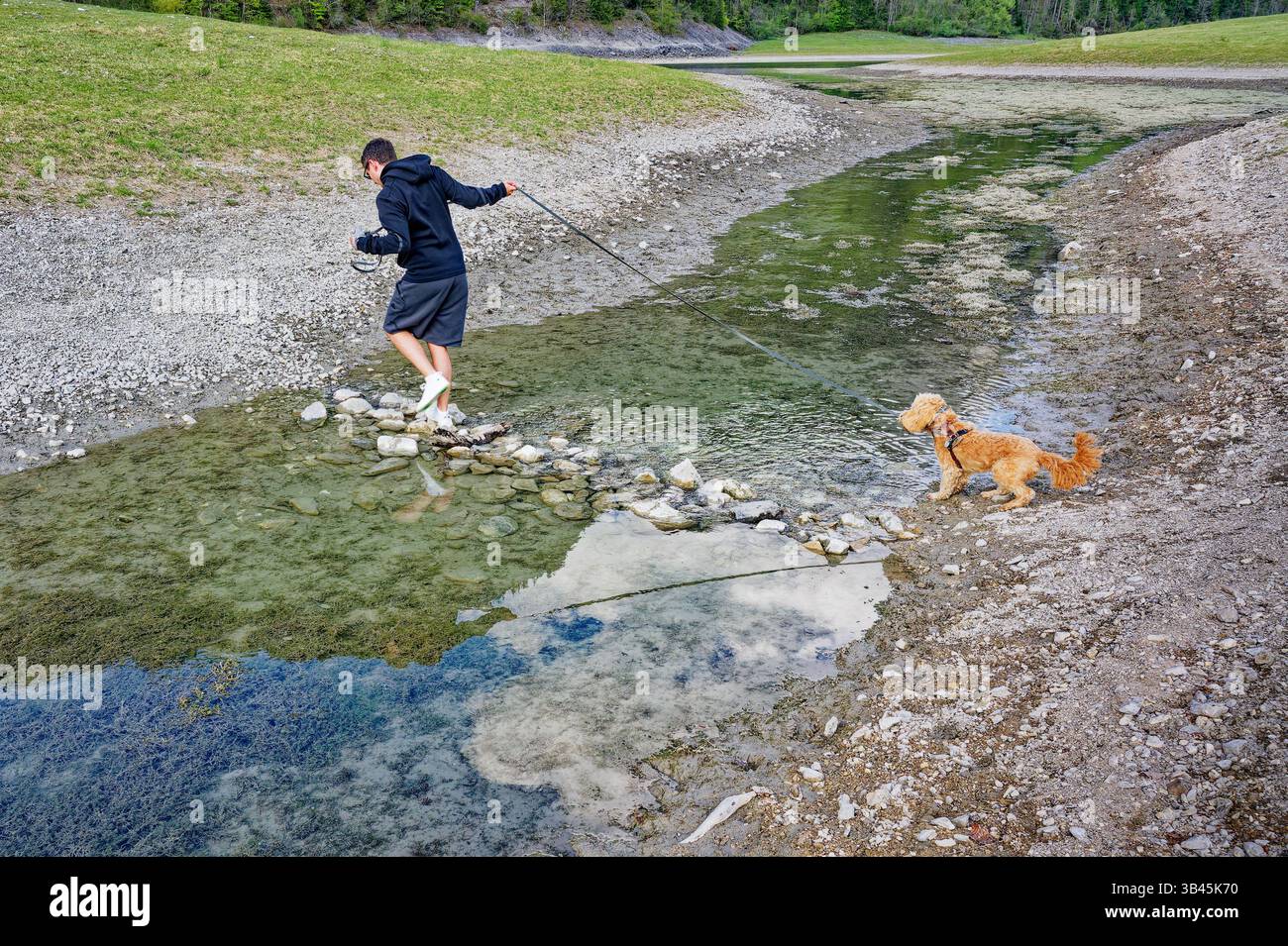 Wanderung mit jungem Hund. Der Hundebesitzer überquert mit seinem Welpen den schmalen Bach über einen kleinen Steindamm. Ruhpolding Bayern Deutschland *** escursioni con un giovane cane il proprietario del cane attraversa lo stretto ruscello con il suo cucciolo su una piccola diga di pietra Ruhpolding Baviera Germania Copyright: XRolfxPossx Foto Stock