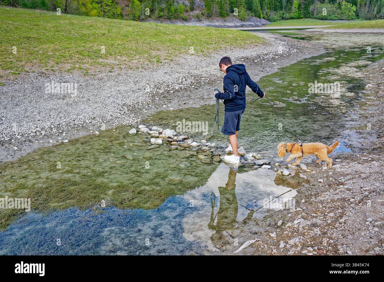 Wanderung mit jungem Hund. Der Hundebesitzer überquert mit seinem Welpen den schmalen Bach über einen kleinen Steindamm. Ruhpolding Bayern Deutschland *** escursioni con un giovane cane il proprietario del cane attraversa lo stretto ruscello con il suo cucciolo su una piccola diga di pietra Ruhpolding Baviera Germania Copyright: XRolfxPossx Foto Stock