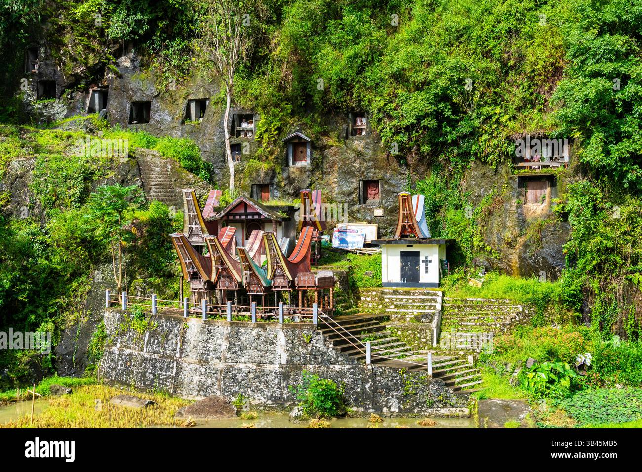 Una delle più antiche scogliere funerarie e il sito più spettacolare dei cimiteri rupestri di Toraja si trova nel villaggio di Lemo. Le pareti di roccia con tombe incorporate e. Foto Stock