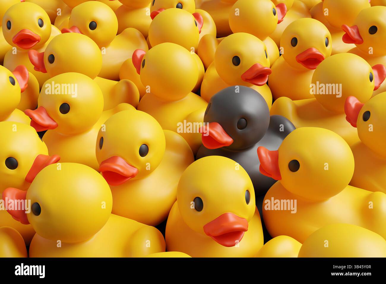 Un'anatra di gomma nera tra un gruppo di anatre di gomma gialle. Illustrazione di differenza, discriminazione, unicità e spiccata Foto Stock
