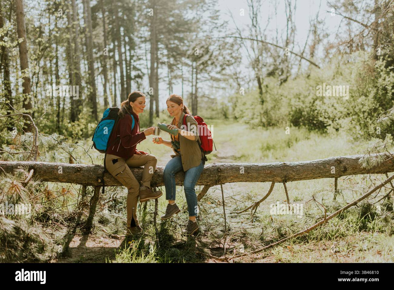 Due amici avventurosi si rilassano in cima a un tronco caduto, godendosi la bellezza e la compagnia della natura in un ambiente boschivo soleggiato. Foto Stock