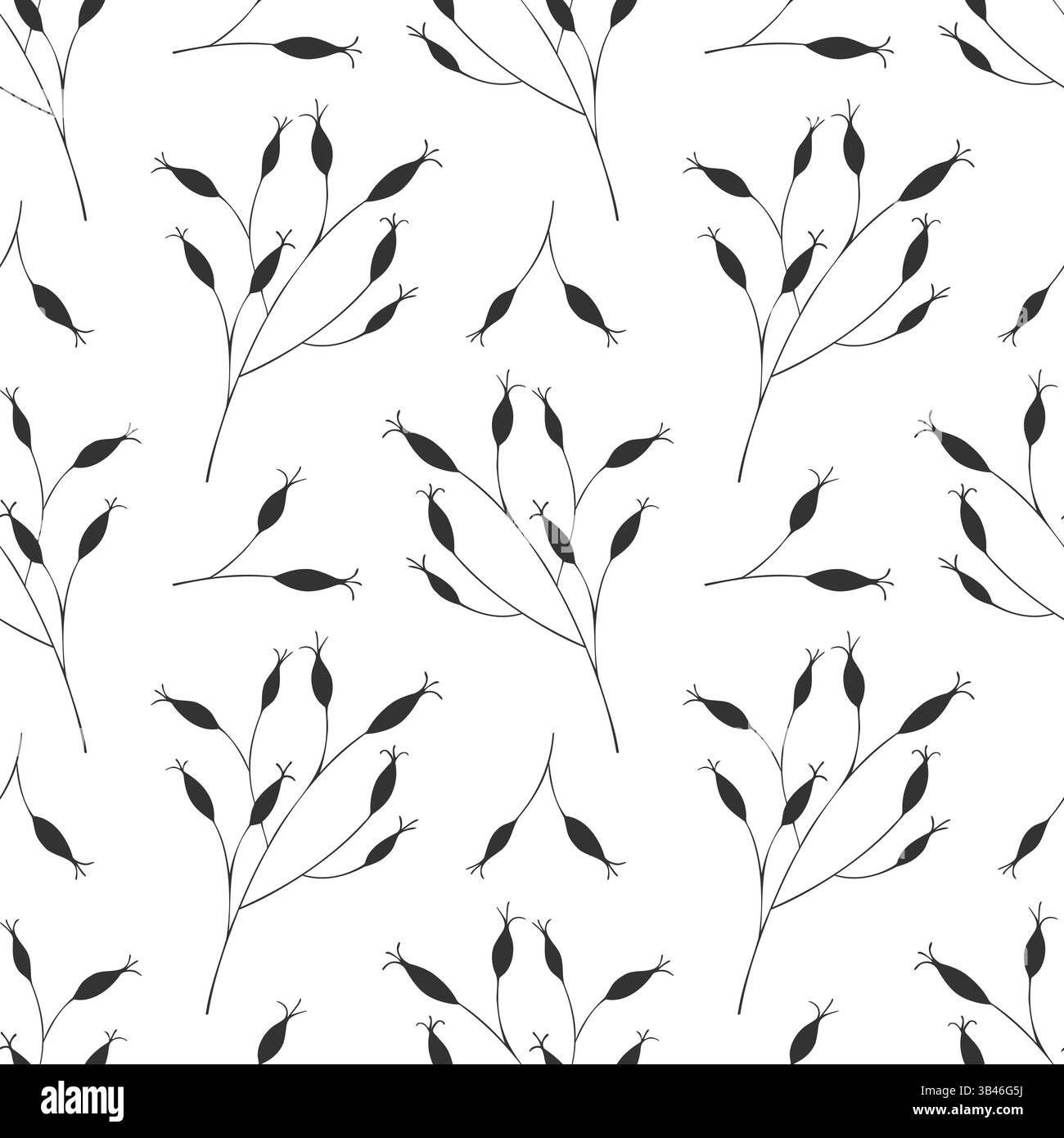 Silhouette di rami di rosa fianchi su sfondo bianco, motivo vegetale. Rosehips o rose, raccolto, fonte di vitamina C. doodle disegnato a mano. Immagine vettoriale Illustrazione Vettoriale