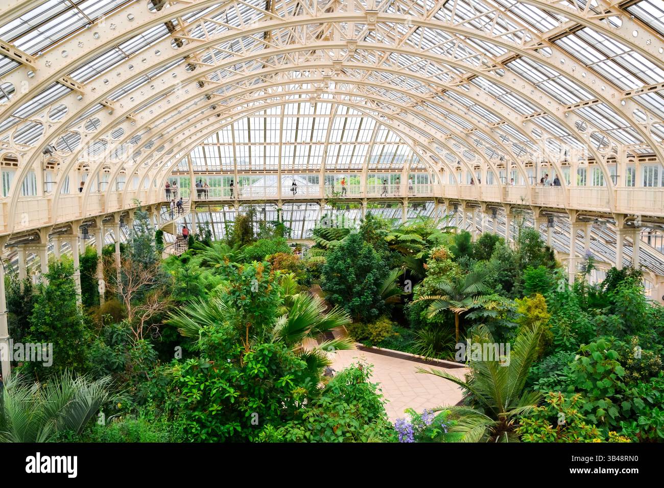 All'interno di un giardino botanico con piante esotiche Foto Stock