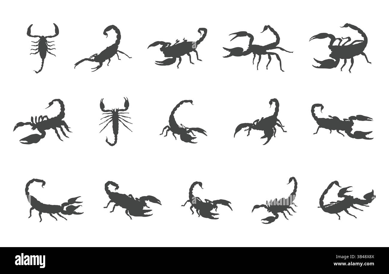 Silhouette Scorpion, svg Scorpion, vettore Scorpion, logo Scorpion, Clipart Scorpion. Illustrazione Vettoriale