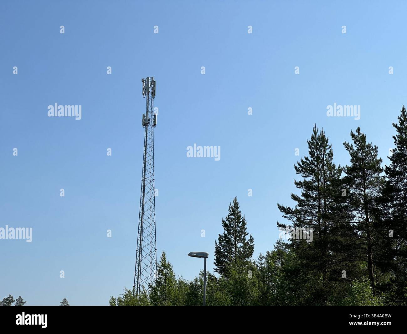 Una torreggiante torre delle telecomunicazioni sorge in mezzo a una foresta vibrante sotto un cielo blu limpido, perfetta per la connettività. Foto Stock