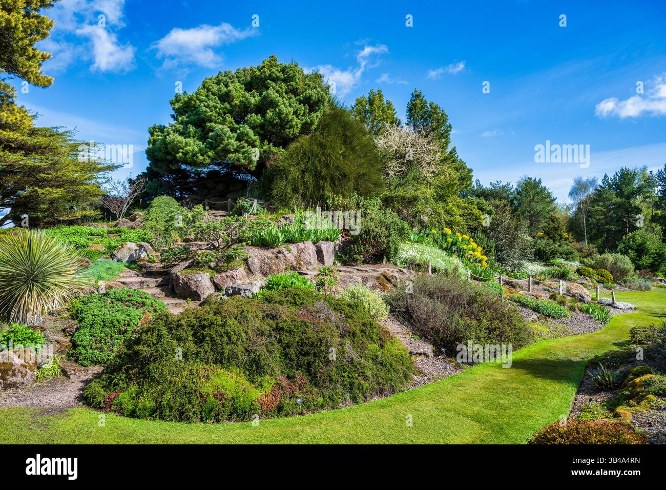 Colori primaverili nel giardino roccioso del Royal Botanic Garden di Edimburgo, Scozia, Regno Unito Foto Stock