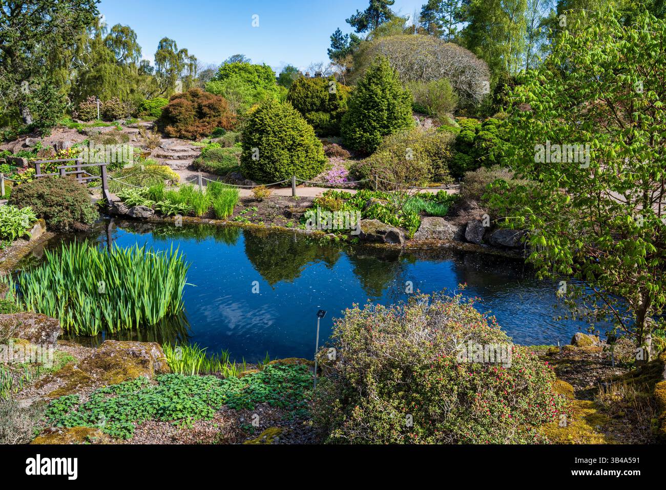 Laghetto con giardino roccioso nel Royal Botanic Garden di Edimburgo, Scozia, Regno Unito Foto Stock