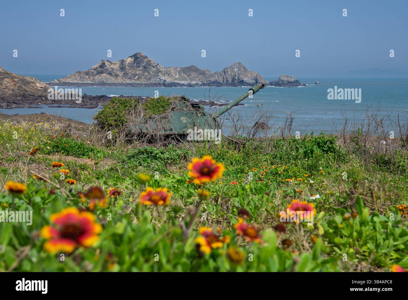 Vecchia vasca sulla spiaggia e fiori in primo piano Foto Stock