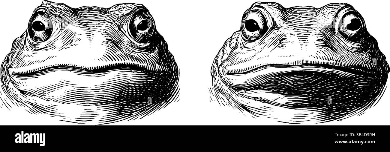 Set di illustrazioni incise di creature mitiche baku e nurikabe per progetti artistici e di design. Illustrazione Vettoriale