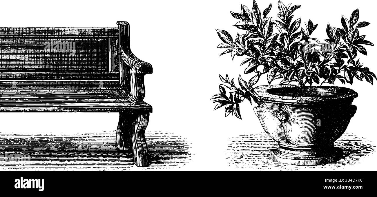 Incisione vintage di panchina in legno e piante da giardino per la natura e il design all'aperto. Illustrazione Vettoriale