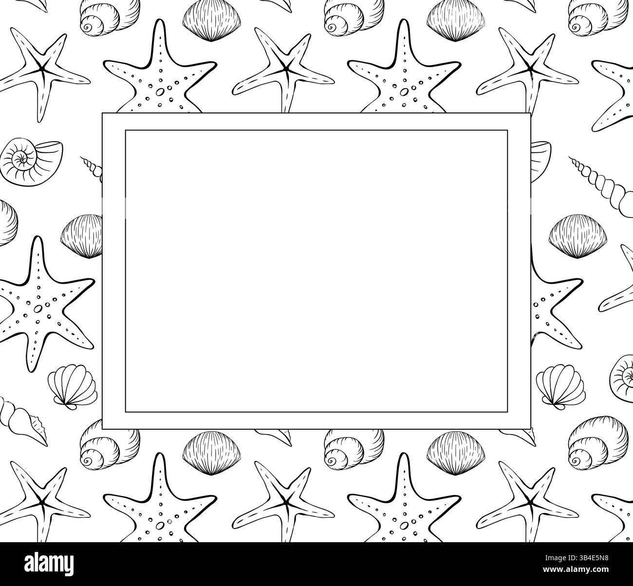 Cornice rettangolare conchiglia. Immagine grafica vettoriale delle conchiglie. Disegno lineare disegnato a mano su sfondo isolato. Design per confezione, cod Illustrazione Vettoriale