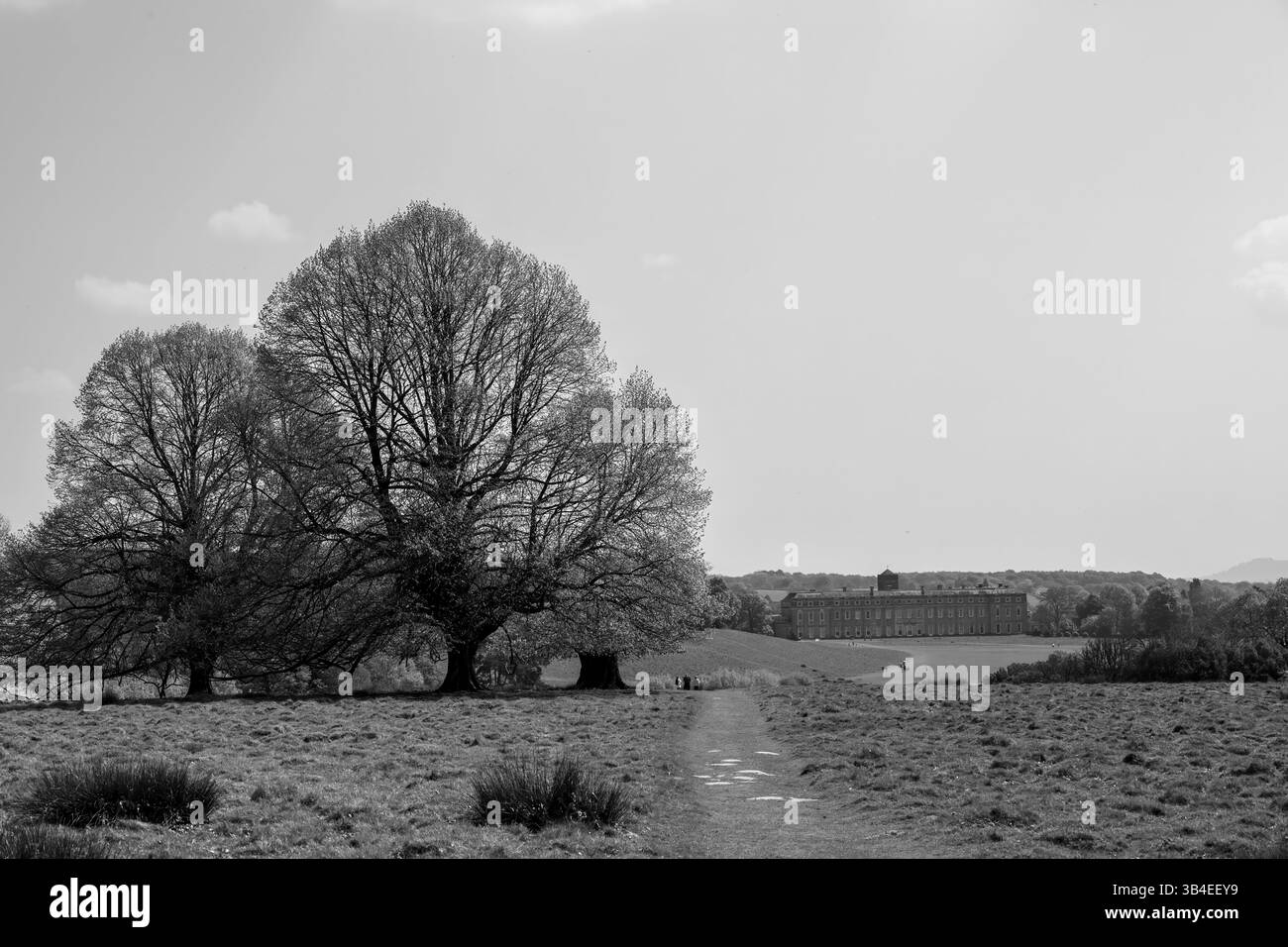 Petworth House West Sussex Inghilterra una casa di campagna classificata di grado 1 del tardo XVII secolo costruita nel 1688 da Charles Seymour Foto Stock