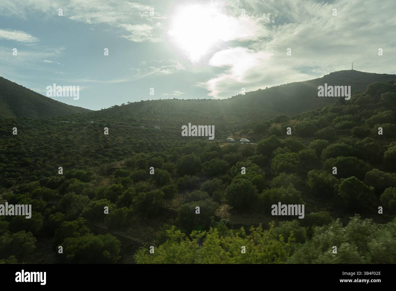 vista su montagne e valli ricoperte di cespugli e alberi Foto Stock