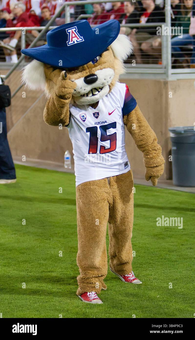 3 ottobre 2015: La mascotte degli Arizona Wildcats Wilbur a bordo campo durante la partita di football NCAA tra gli Stanford Cardinal e gli Arizona Wildcats allo Stanford Stadium di Palo alto, CA. Stanford sconfisse Arizona 55-17. Supporti Damon Tarver/Cal Sport (immagine di credito: © Damon Tarver/CSM tramite filo ZUMA) Foto Stock