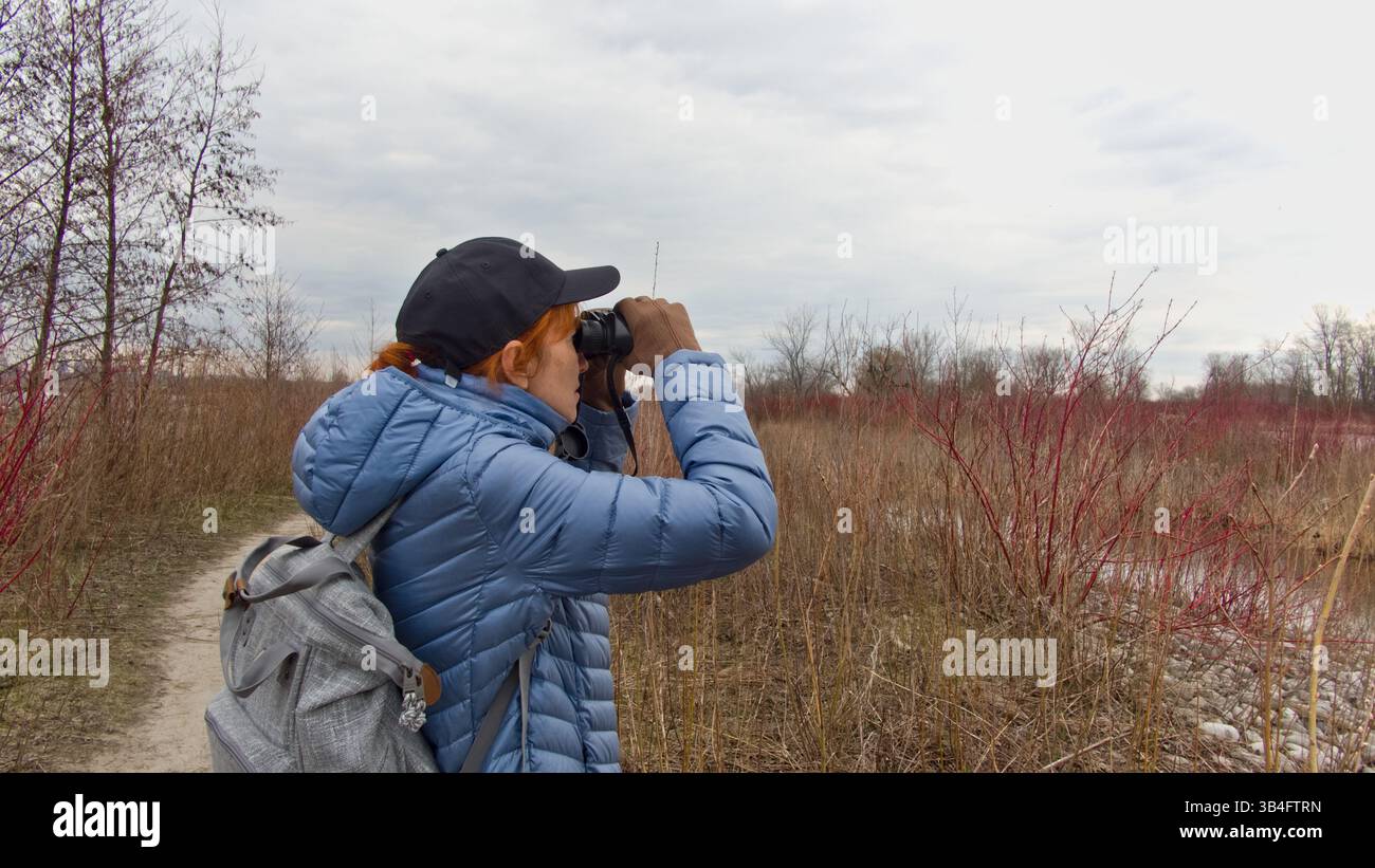 L'osservatore mirato si trova in sottobosco asciutto con binocolo, scansionando le cime degli alberi alla ricerca di uccelli all'inizio della primavera. Foto Stock