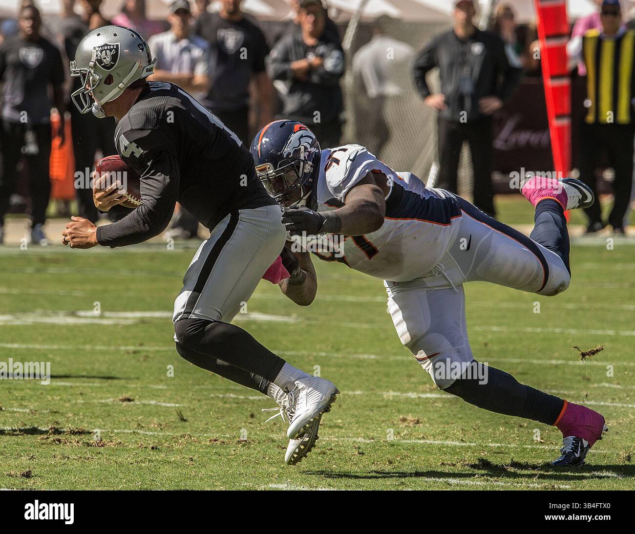 11 ottobre 2015: Il defensive end dei Denver Broncos Malik Jackson (97) svincolò il quarterback degli Oakland Raiders Derek Carr (4) domenica 11 ottobre 2015 all'O.co Coliseum di Oakland, California. I Broncos sconfissero i Raiders 16-10. Al Golub/CSM(immagine di credito: © al Golub/CSM tramite filo ZUMA) Foto Stock