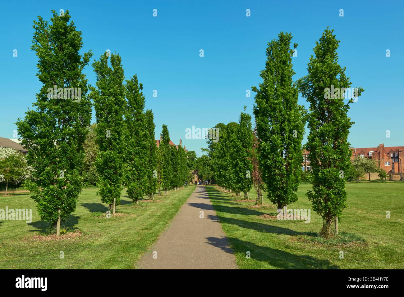 Passeggiata nella sala giochi di Haggerston Park, Borough of Hackney, Londra, Regno Unito, nella tarda primavera Foto Stock