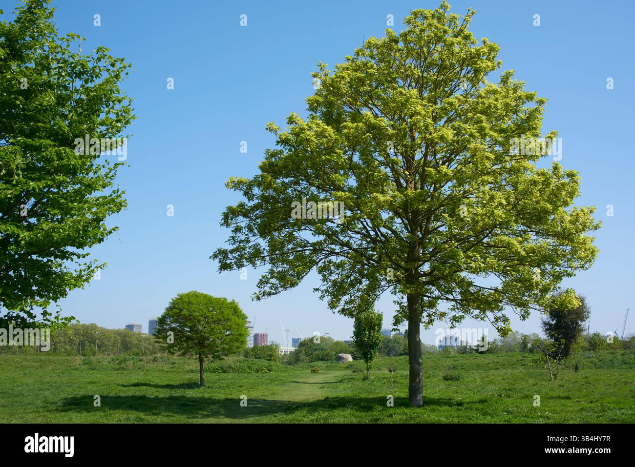 Mabley Green nel Borough di Hackney, Londra Regno Unito, in tarda primavera Foto Stock