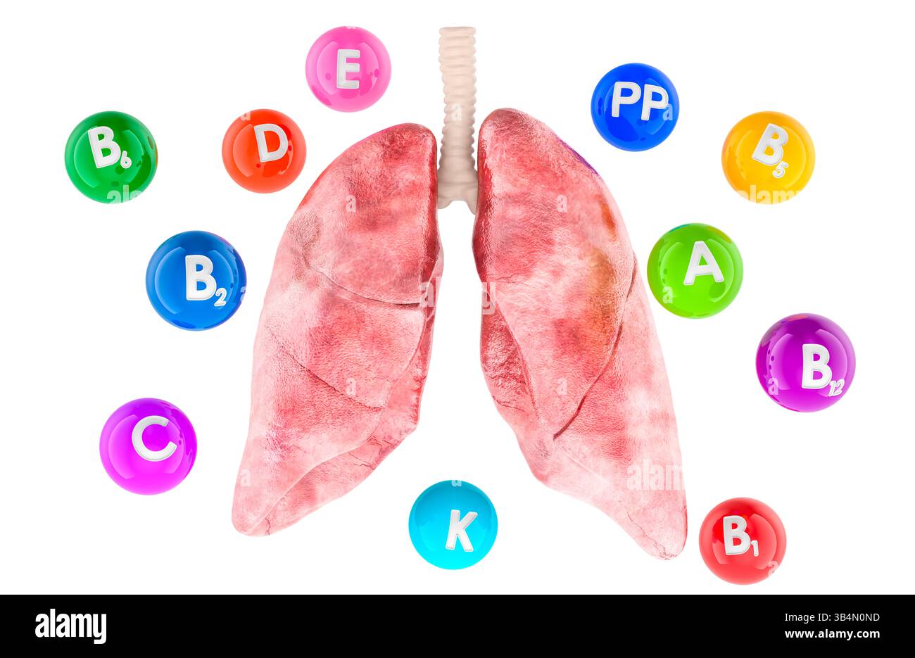 Polmoni umani con diverse vitamine. Rendering 3D isolato su sfondo bianco Foto Stock