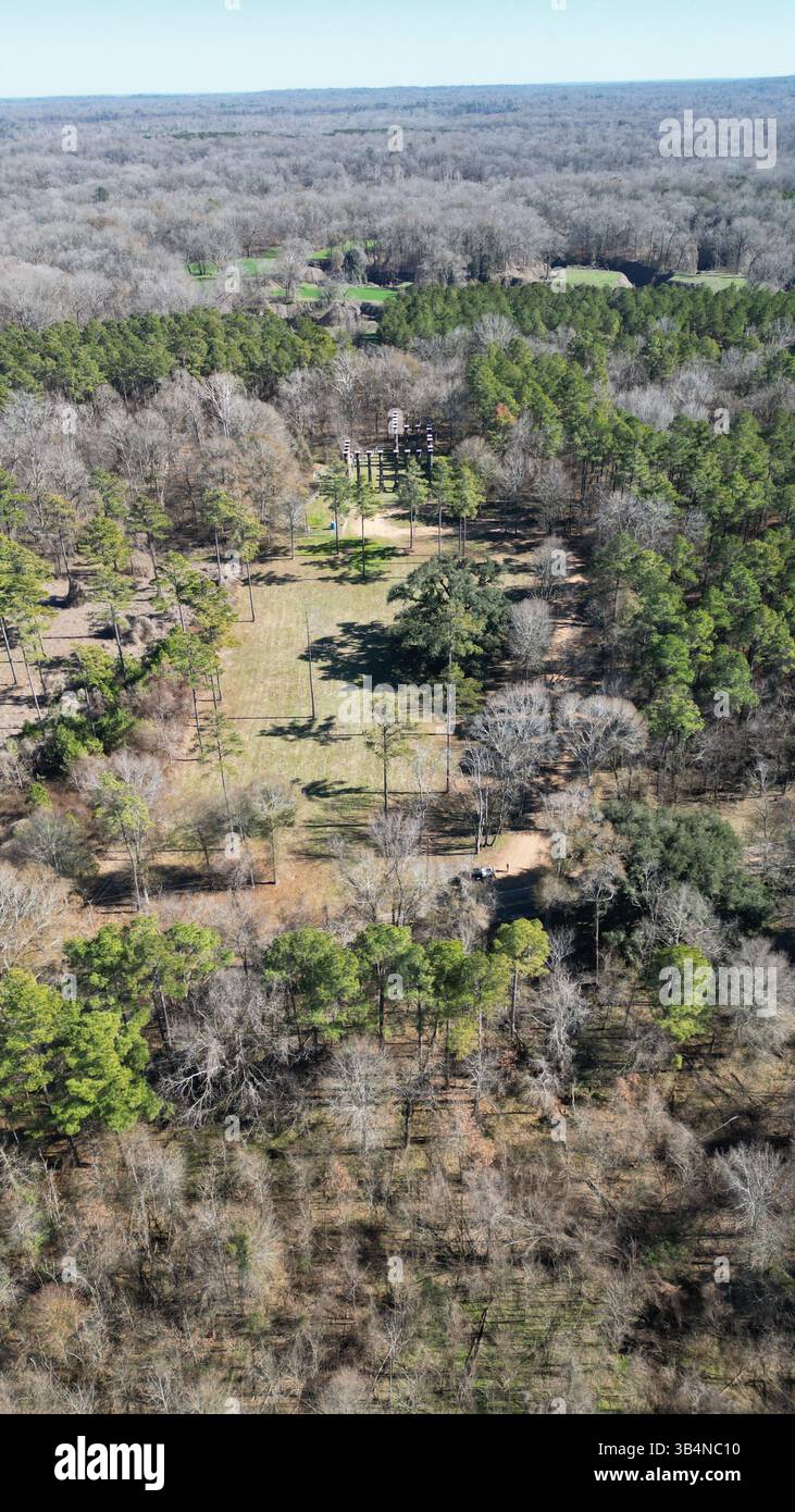 Le rovine di Windsor Mansion sono colonne corinzie Foto Stock