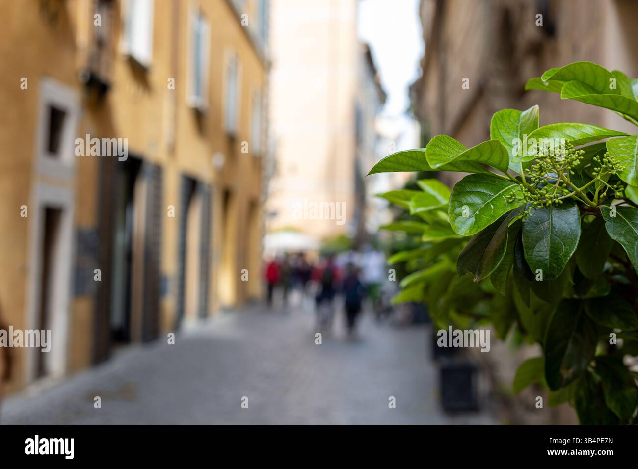 Una strada stretta e vivace presenta una splendida architettura, con persone che camminano piacevolmente e si impegnano in una conversazione sotto il sole luminoso. Verde lussureggiante Foto Stock