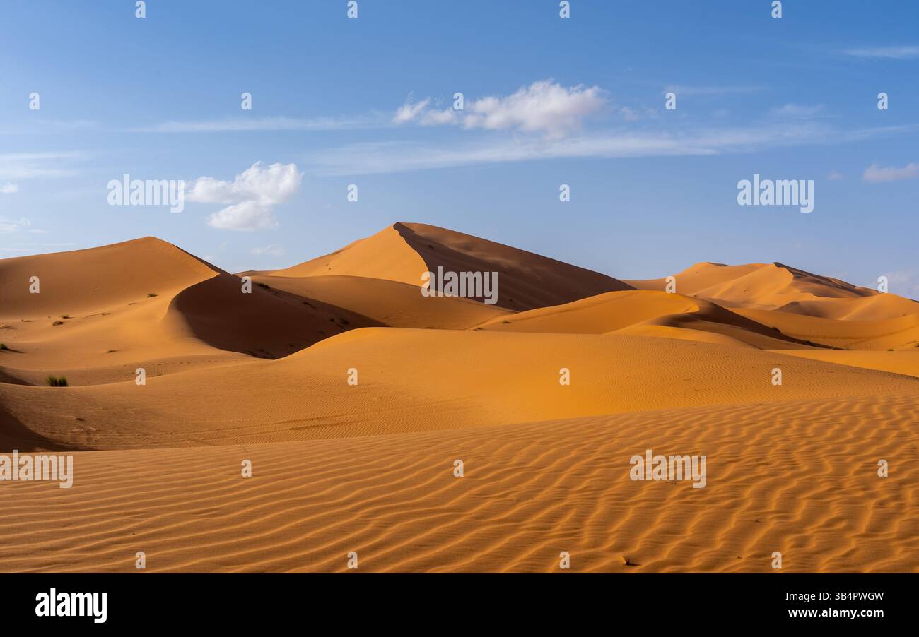 Vista del deserto del Sahara in Marocco, Africa. Il deserto del Sahara è il deserto caldo più grande del mondo. Foto Stock