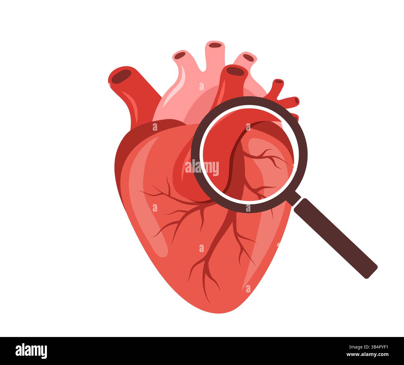 Malattie cardiache. Organo interno umano con grande lente di ingrandimento. Diagnosi e trattamento medico del cuore. Illustrazione vettoriale in stile cartone animato piatto Illustrazione Vettoriale