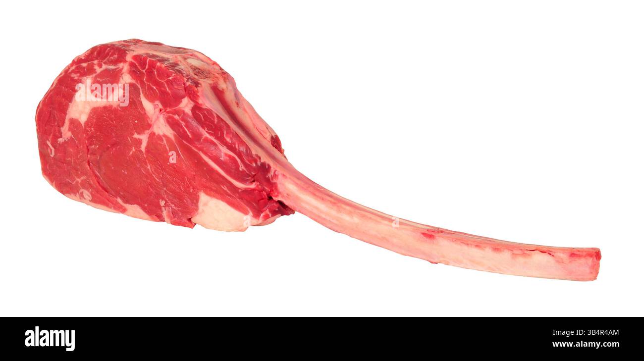 Bistecca fresca di manzo di tomahawk crudo sull'osso stagionato per trenta giorni isolato su fondo bianco Foto Stock