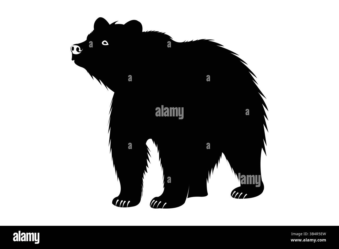 Sagoma di un orso in piedi rivolto a sinistra su sfondo bianco Illustrazione Vettoriale