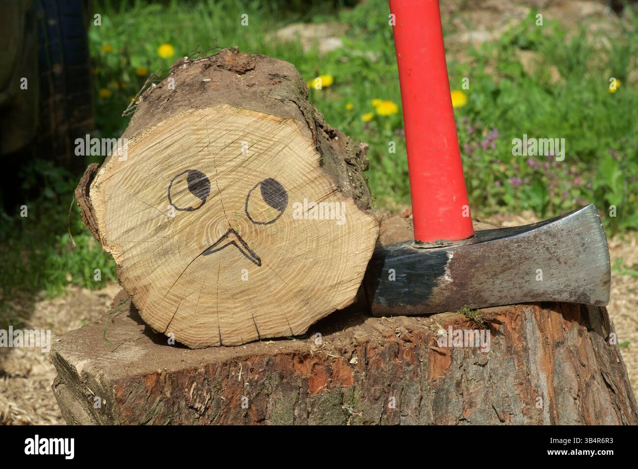 troncare l'albero intorno al blocco di triturazione accanto al maul che si divide con la faccia preoccupata disegnata con la penna Foto Stock