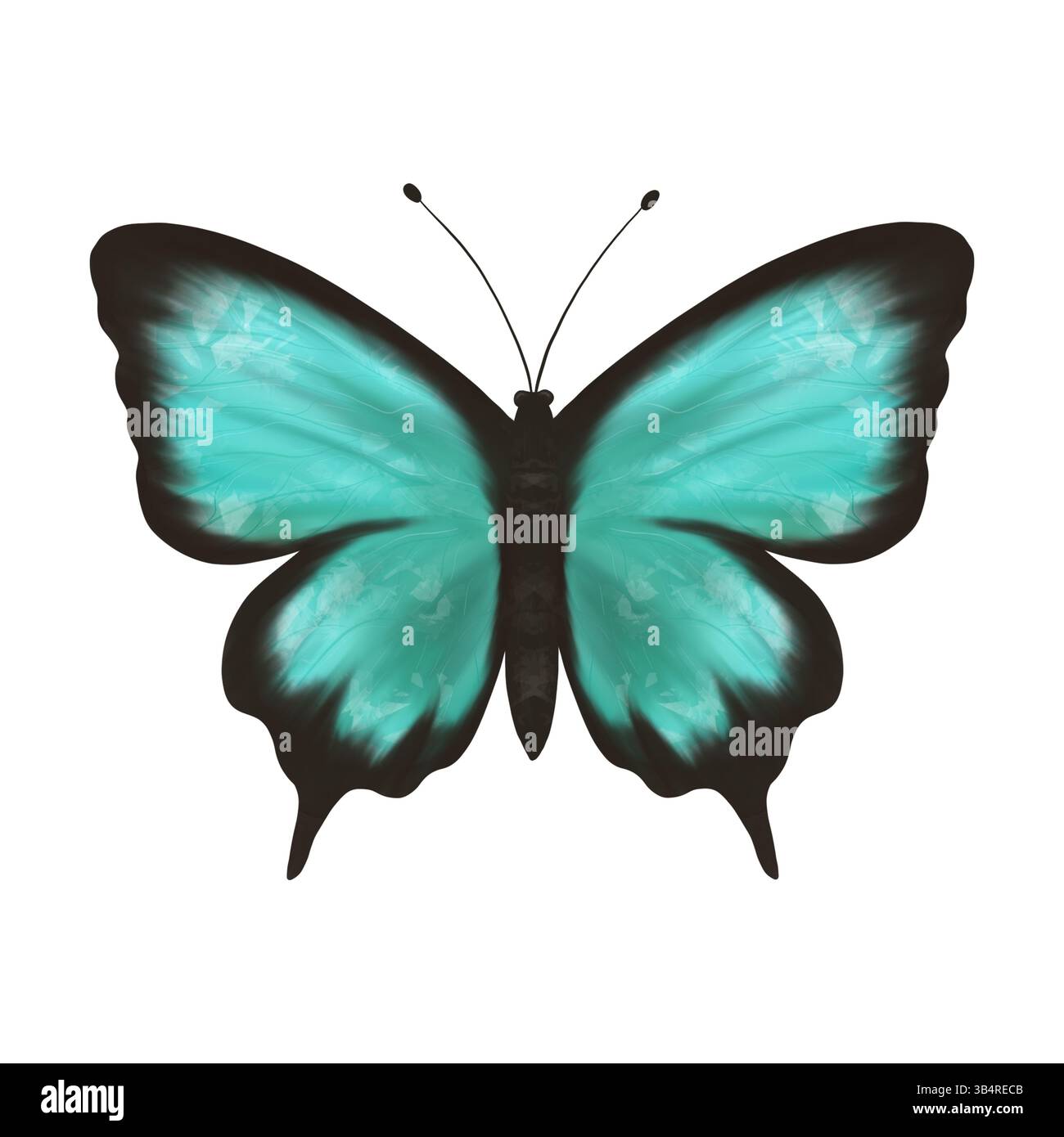 Meravigliosa farfalla turchese e verde. Illustrazione digitale fatta a mano, oggetto isolato Foto Stock