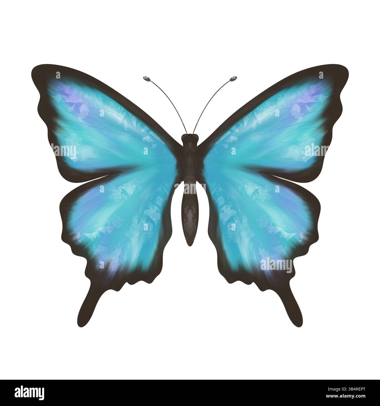 Meravigliosa farfalla blu, viola e turchese. Illustrazione digitale fatta a mano Foto Stock