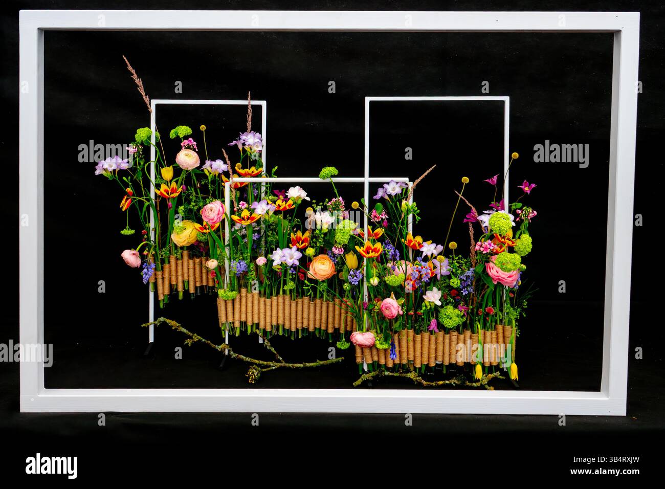 Mostra di fiori Foto Stock