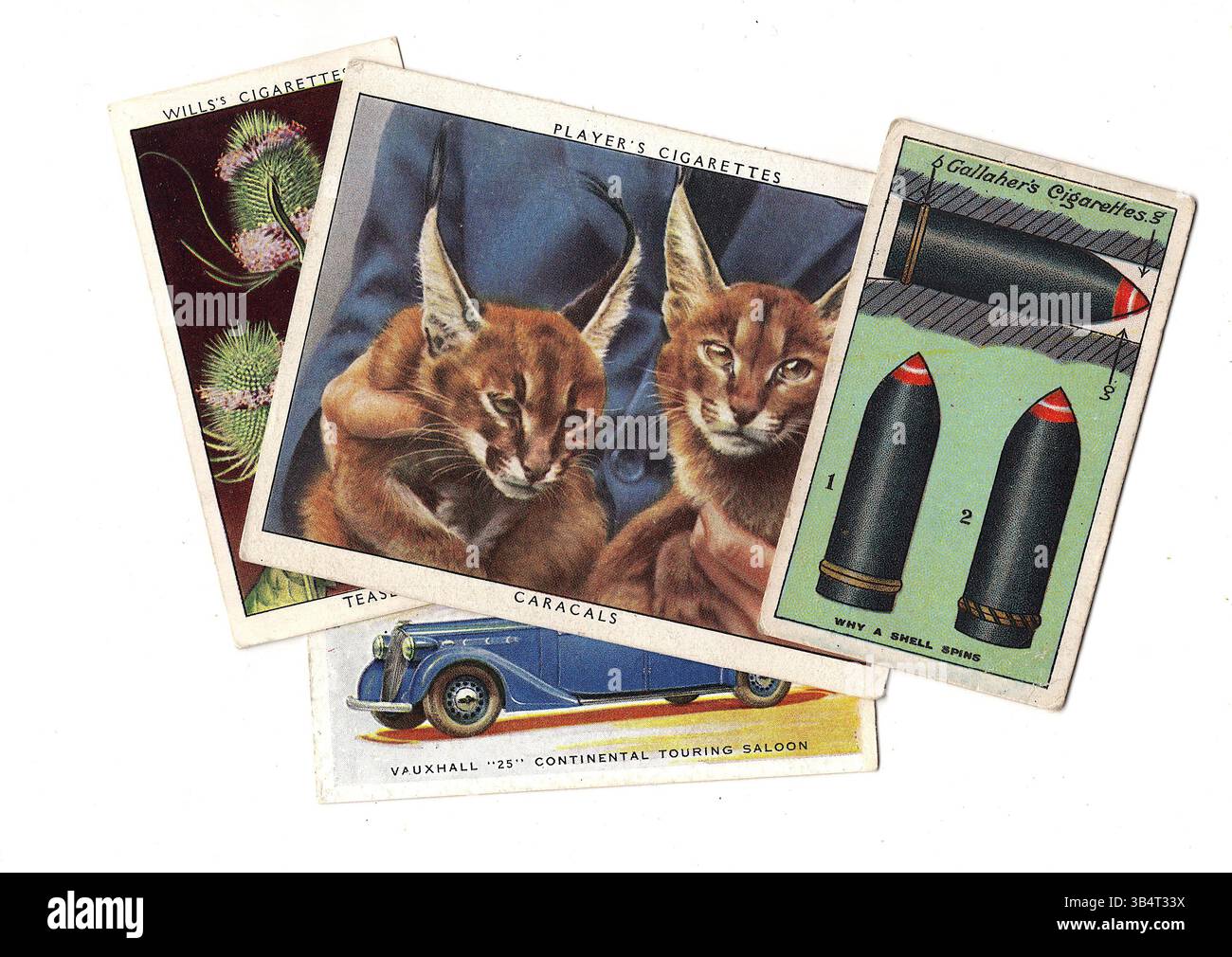 Un montaggio di sigarette d'epoca isolate su uno sfondo bianco. Foto Stock