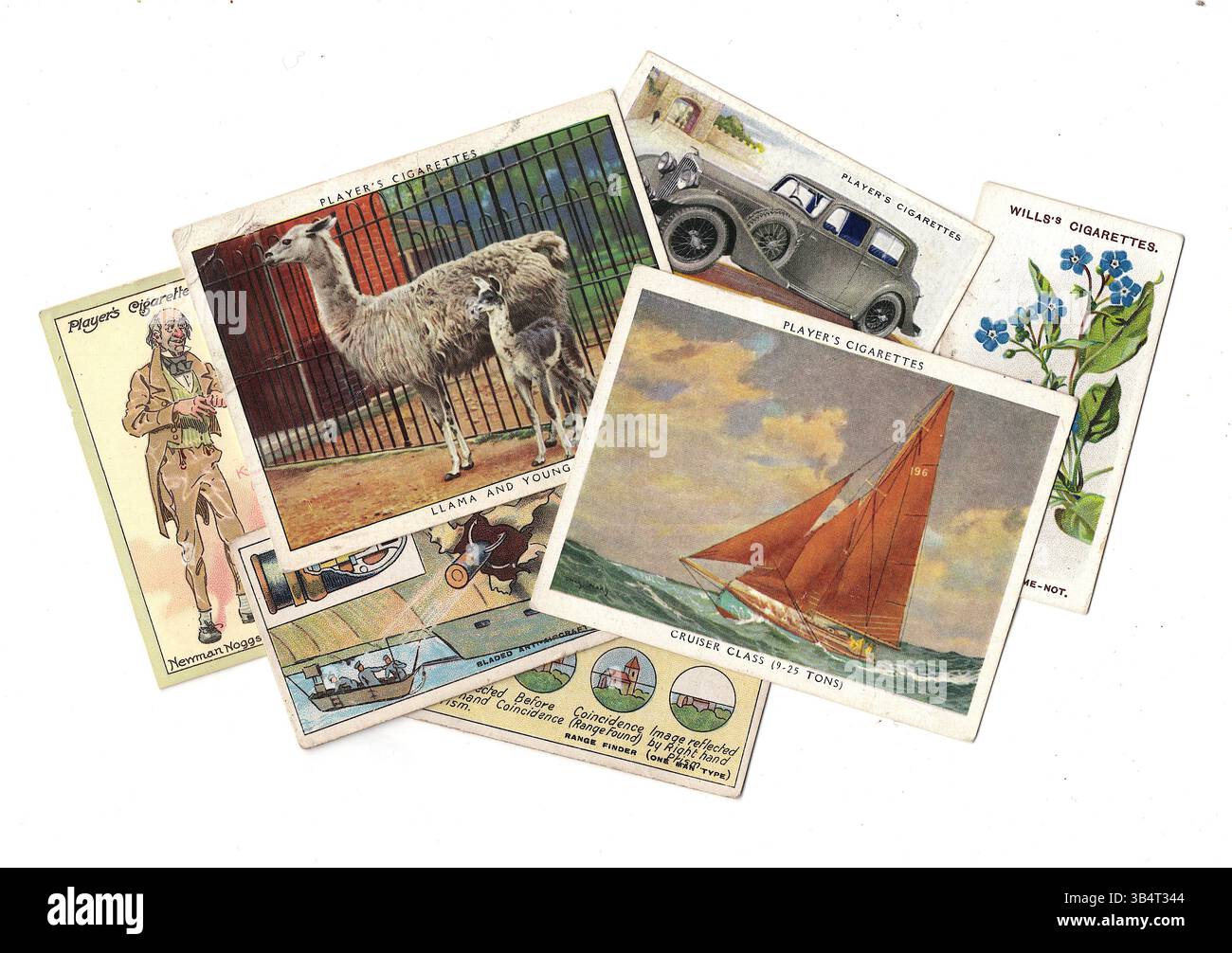 Un montaggio di sigarette d'epoca isolate su uno sfondo bianco. Foto Stock