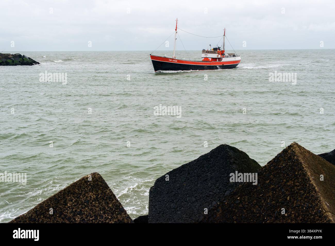 Una piccola nave da pesca che entra nel porto dopo una battuta di pesca. Scheveningen, Paesi Bassi. Foto Stock