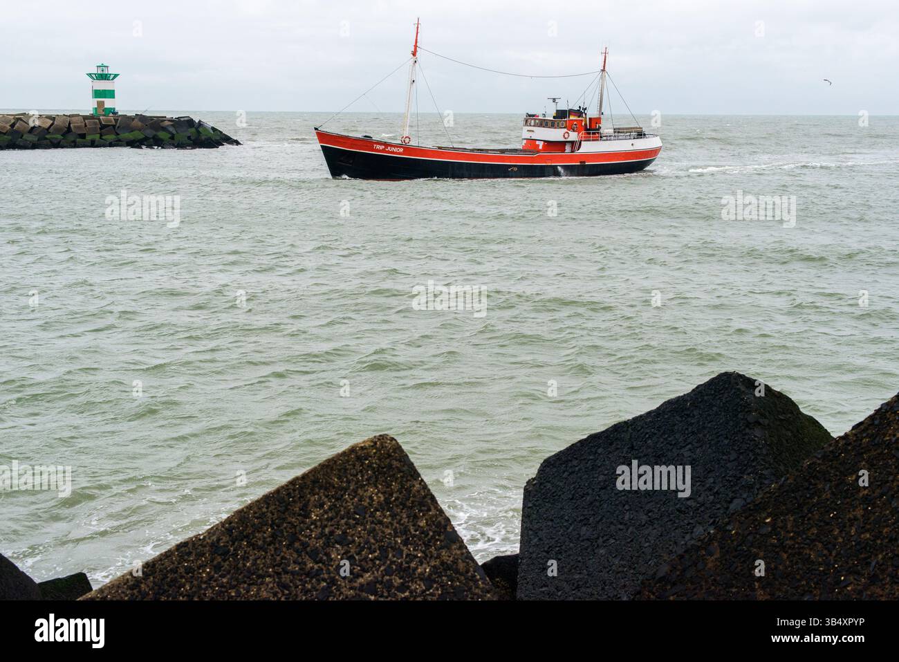 Una piccola nave da pesca che entra nel porto dopo una battuta di pesca. Scheveningen, Paesi Bassi. Foto Stock