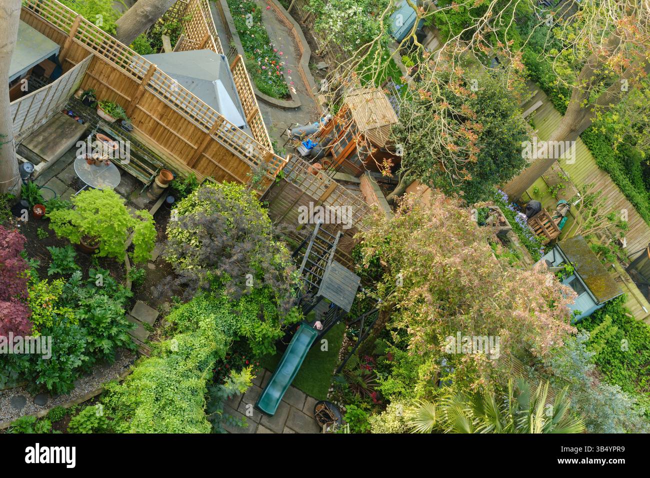 Islington, Londra, Inghilterra - piccoli giardini sul retro, fianco a fianco, su una strada di Islington. Foto Stock