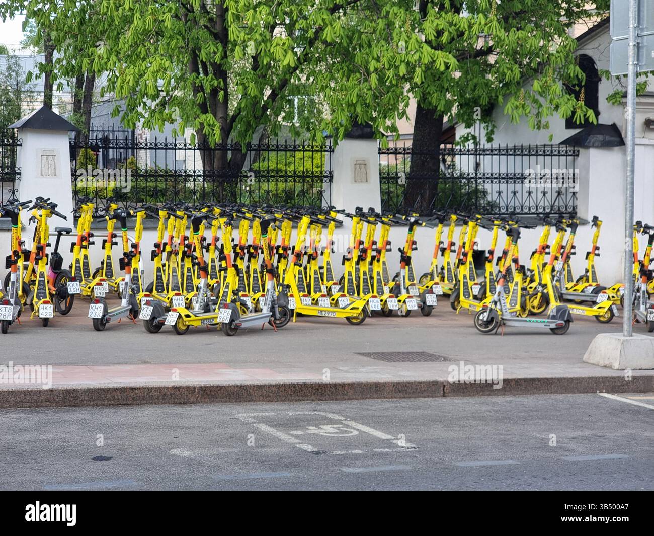 Molti e-scooter gialli luminosi parcheggiati sul marciapiede/marciapiede vicino a alberi verdi; Whoosh Foto Stock