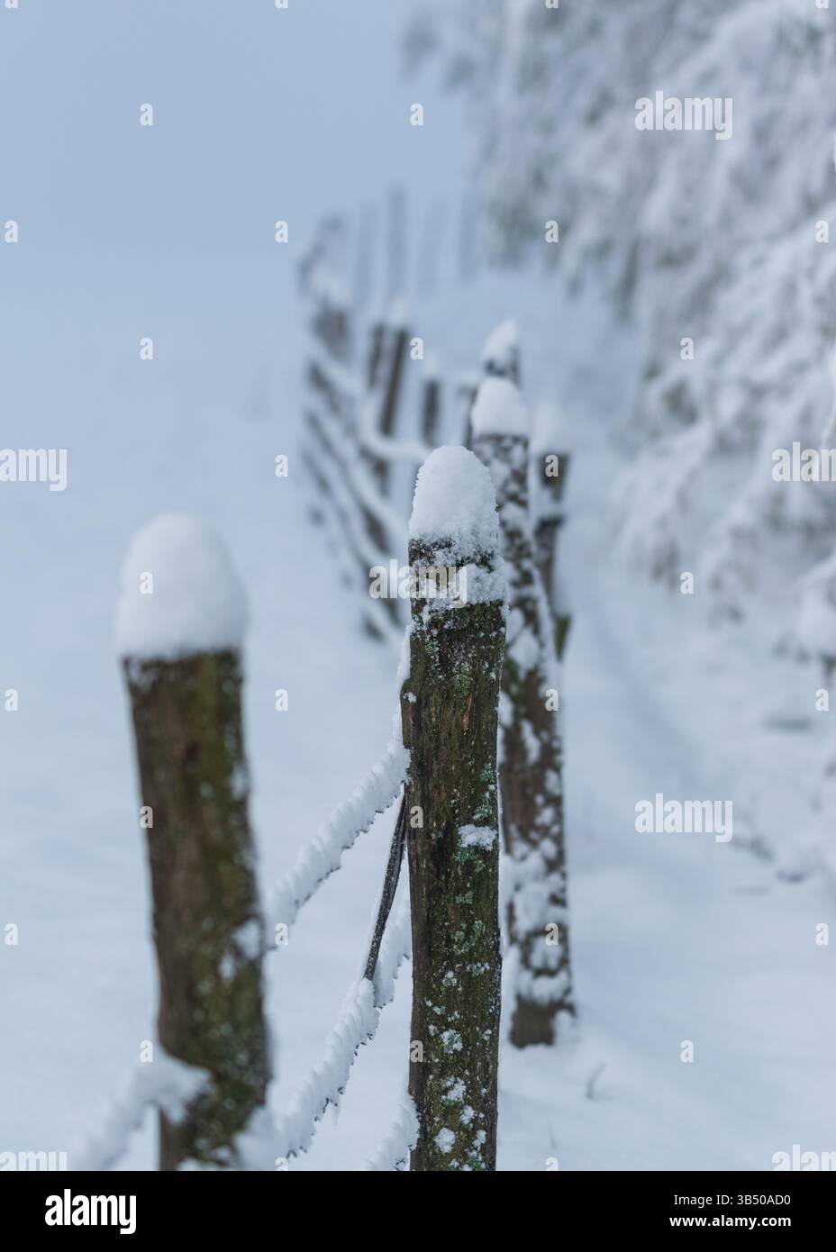 Palo in legno di stecca per bestiame con deriva della neve sulla parte superiore, recinzione curvata con filo spinato, paesaggio invernale Foto Stock