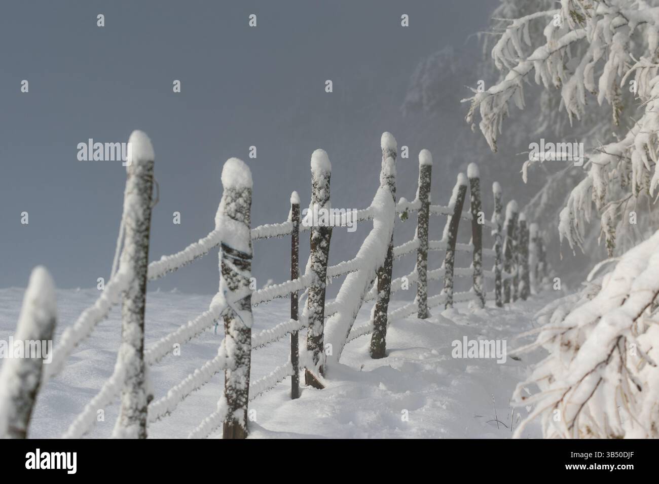 Recinzione di recinzione con pali di legno e filo spinato in inverno, deriva della neve sul recinto e rami di alberi che si piegano sotto il peso della neve, paesaggio invernale Foto Stock