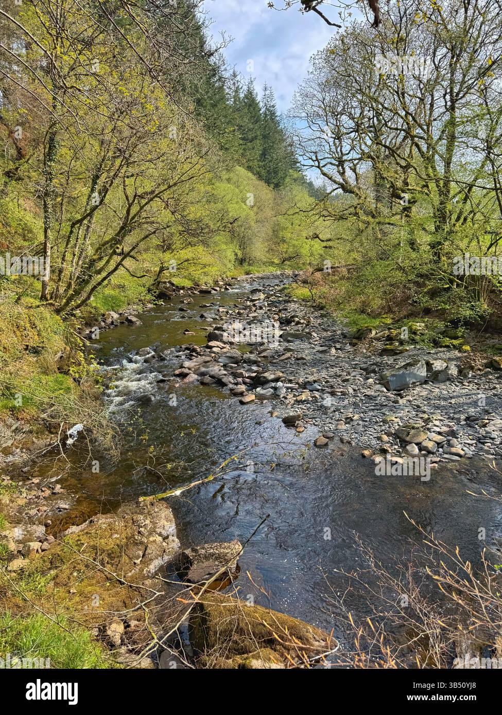 Vista lungo la Ystwyth Valley, Ceredigion, Galles occidentale. Foto Stock