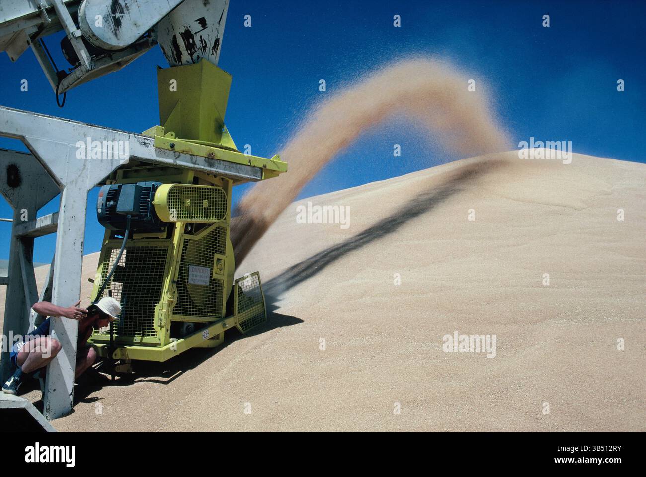 Australia. Nuovo Galles del Sud. Industria agricola. Grano. Caricare il raccoglitore e le pile. Foto Stock