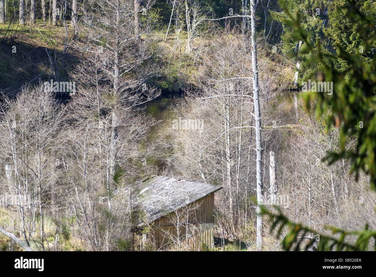 Un piccolo edificio scuro con un tetto grigio, situato in un'area boscosa, possibilmente sulla riva di un fiume. Il paesaggio è parzialmente oscurato da alberi e b Foto Stock Un piccolo edificio scuro con un tetto grigio, situato in un'area boscosa, possibilmente sulla riva di un fiume. Il paesaggio è parzialmente oscurato da alberi e b Foto Stock