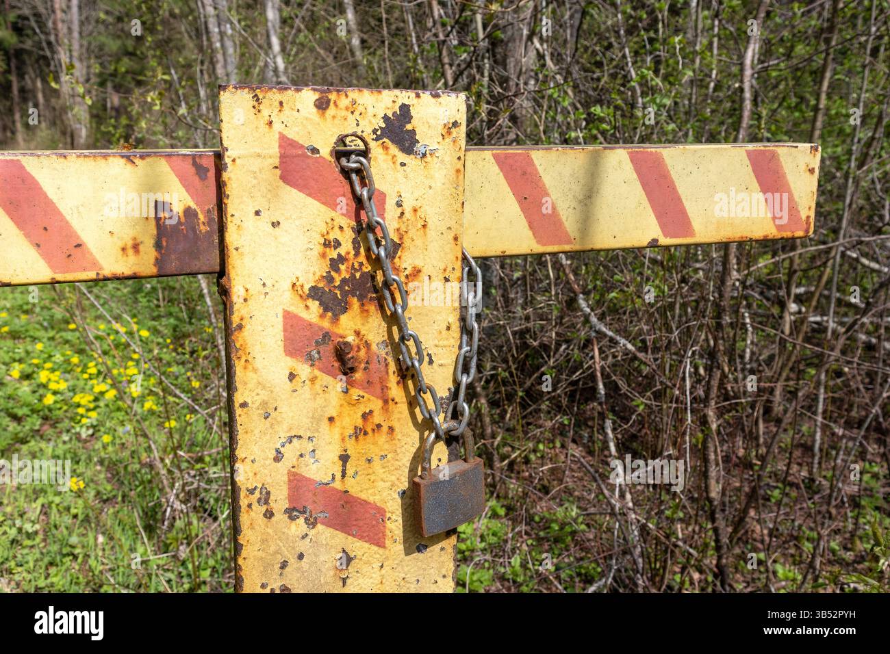 una barriera metallica verniciata di giallo con strisce diagonali rosse e bloccata con una catena metallica e un lucchetto, bloccando così un percorso che conduce attraverso un'area boschiva Foto Stock