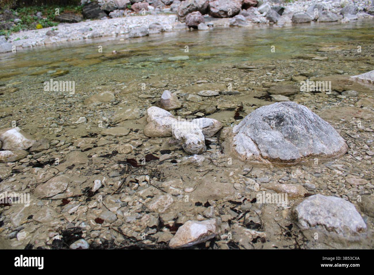 Rock in Clear Mountain Stream, Alpi Bavaresi, Germania Foto Stock