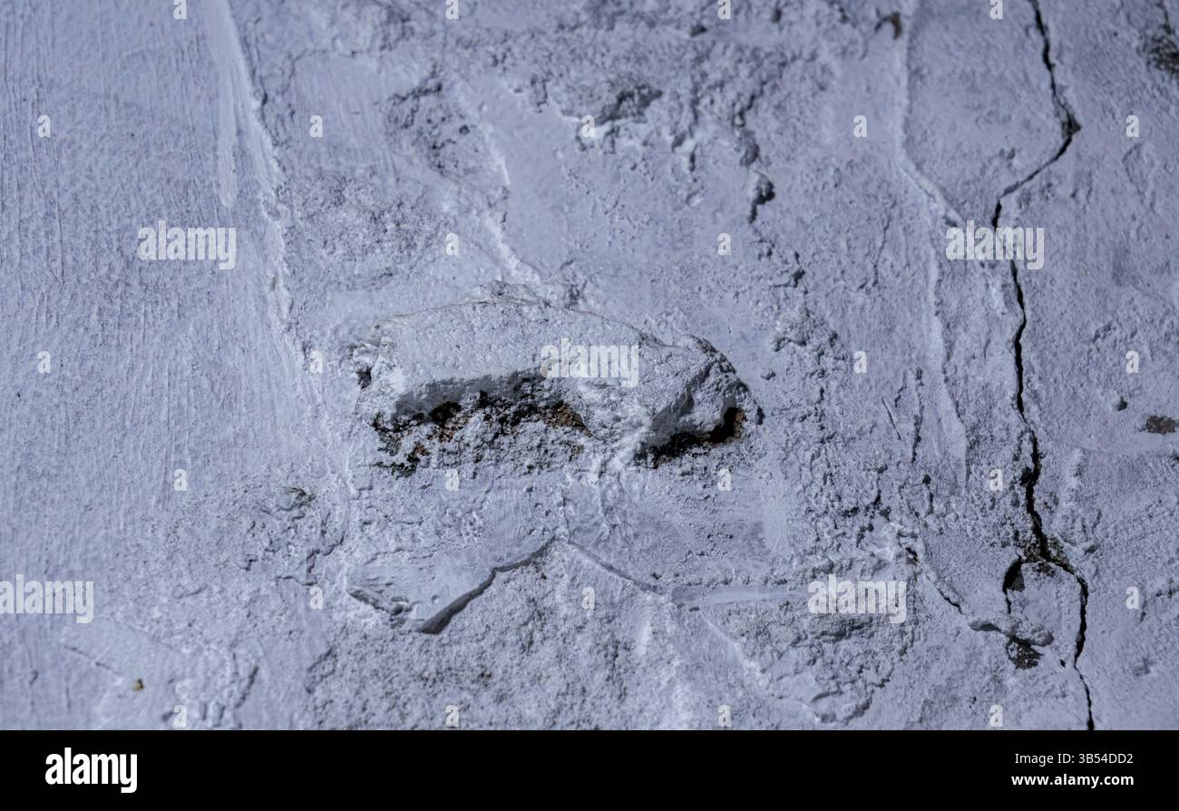 Struttura astratta della superficie in calcestruzzo verniciato bianco ruvido Foto Stock