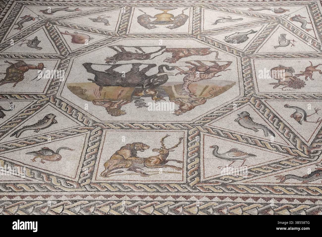 27 giugno 2022, Lod, Israele: L'Israel Antiquities Authority inaugura il Centro archeologico Shelby White e Leon Levy Lod Mosaic. L'obiettivo del centerÂ è quello di esporre un mosaico di 1.710 piedi quadrati di epoca romana (dal III al IV secolo d.C.) che serviva come pavimento di una villa da soggiorno in un ricco complesso abitativo di Lod. Il mosaico, ritenuto dagli archeologi straordinario per la sua qualità, il suo soggetto raffigurato e la sua conservazione, viene definito un gioiello archeologico con immagini di mammiferi, uccelli, pesci, piante varie e antiche navi raffigurate in grande dettaglio. (Immagine di credito: © Nir A Foto Stock