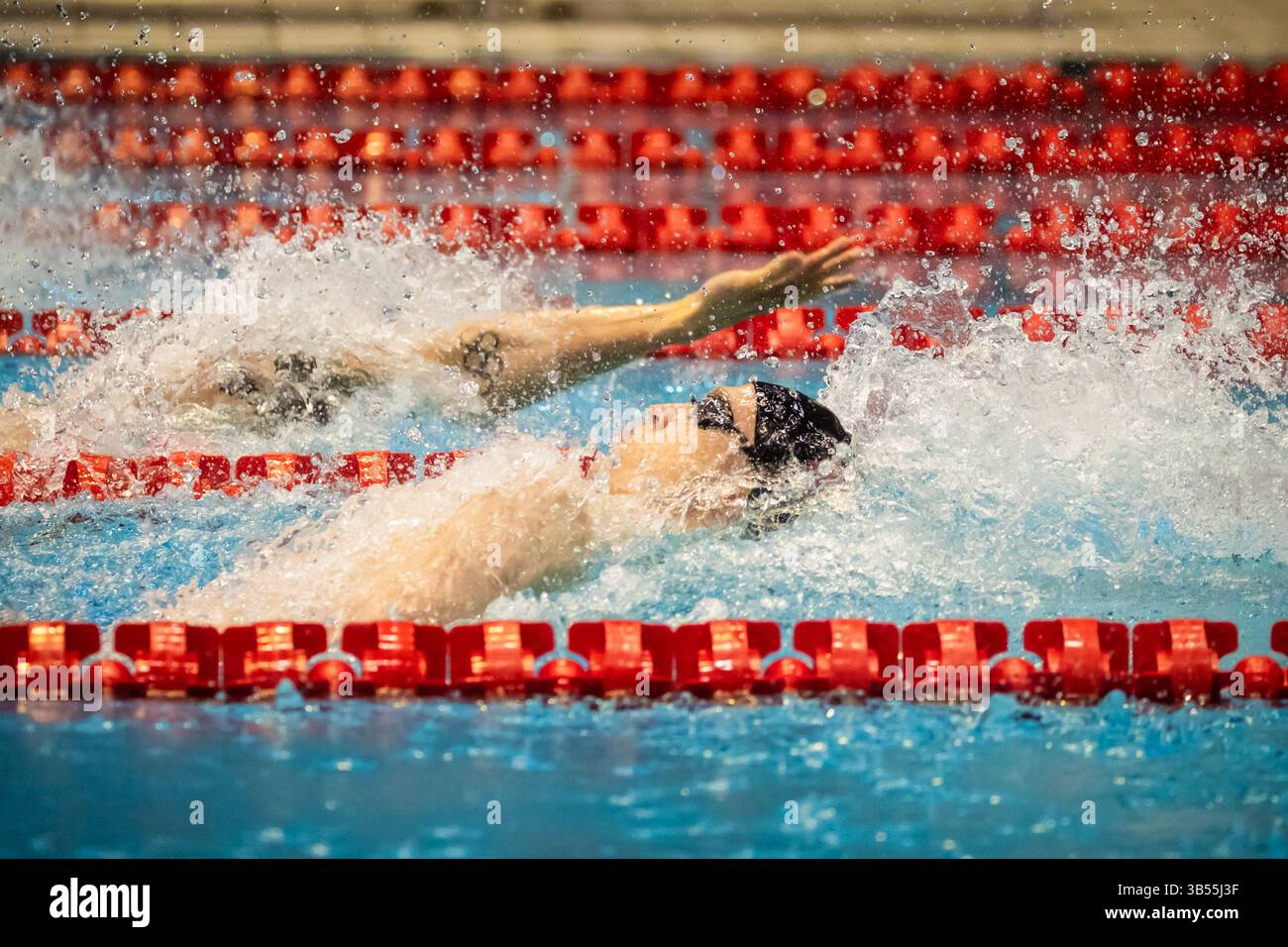 Berlino, Germania. 1° maggio 2025. Nuoto: Campionati tedeschi, SSE Europasportpark Berlin - 100m backstroke maschile, finale: Cornelius Jahn (davanti) in azione davanti a Ole Braunschweig (solo braccio). Crediti: Christoph Soeder/dpa/Alamy Live News Foto Stock