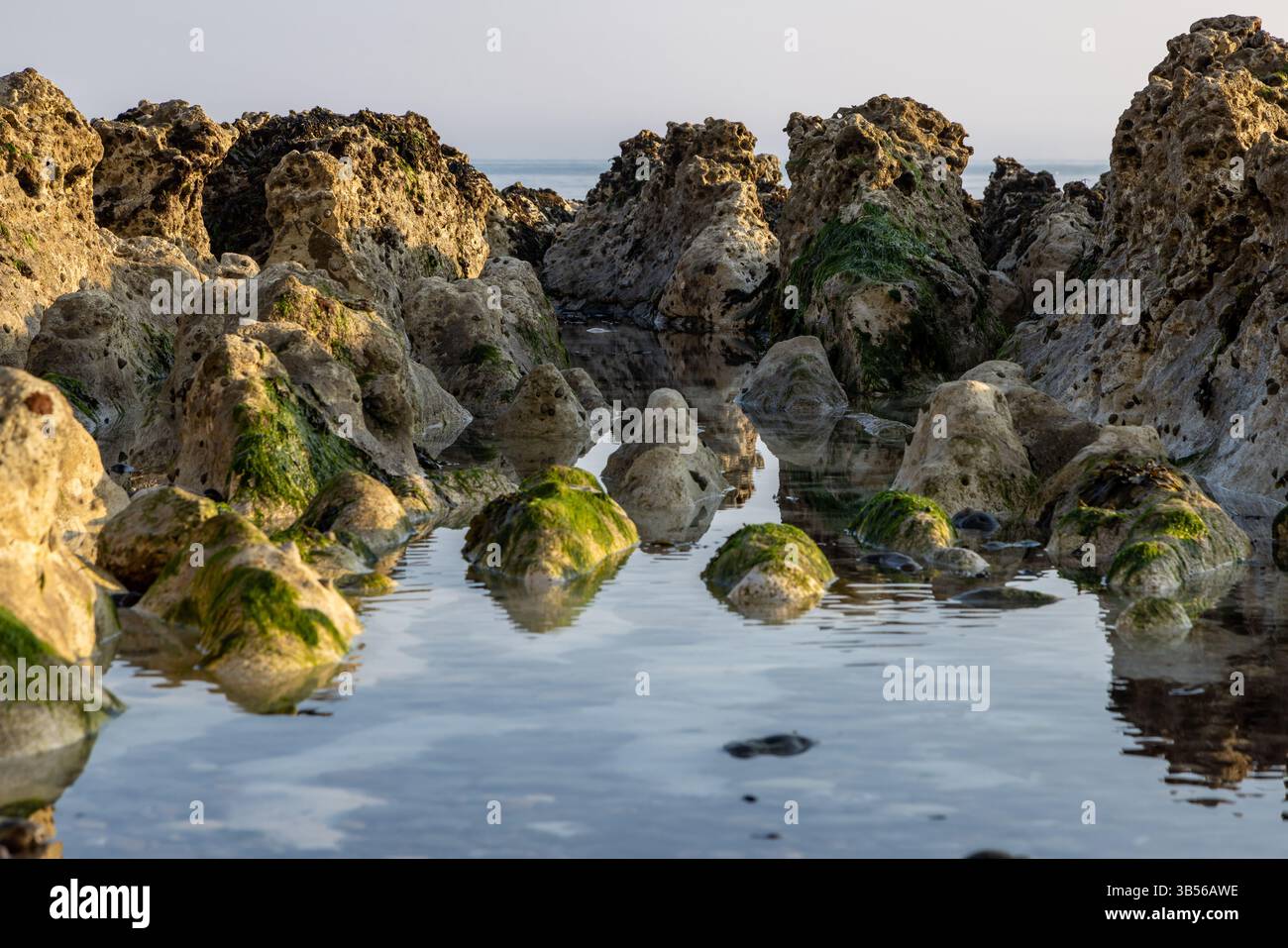 Bassa marea sulla spiaggia di Peacehaven con formazioni rocciose che si riflettono nell'acqua Foto Stock